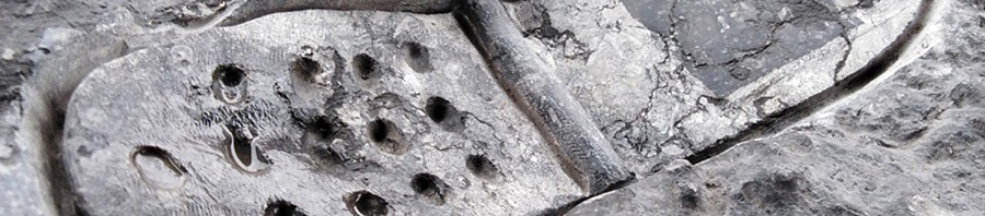 900_IMG_Archeosmart21
