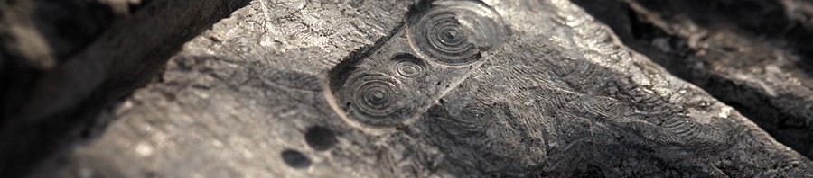 900_IMG_Archeosmart27