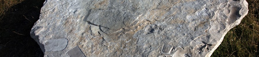 ImgWML_PP_ArcheoS_6566